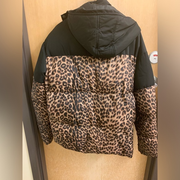 Boohoo MAN Cheetah Print Puffer Jacket - Picture 4 of 4